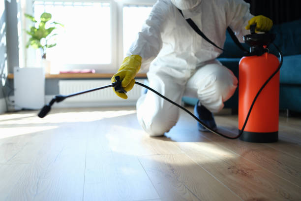 Reliable Hoarding Cleanup contractor in Rochester, IL by Trauma Clean Pros